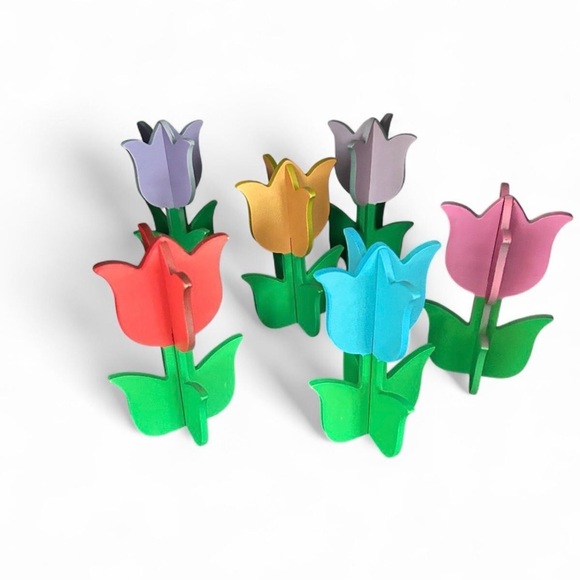 Other - Colorful Tulip Decor Set